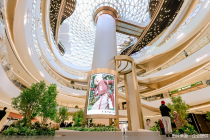 服务消费领航  多元业态赋能  2025年北京消费市场韧性十足