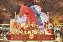 春运首日民航运输旅客219万人次，航司增投“一南一北”航线运力