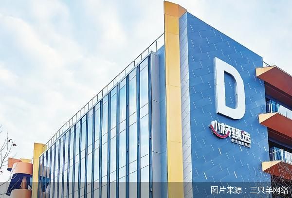 图片来源：三只羊网络