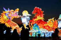 “2026马上有戏·台湖新春狂欢季”开幕