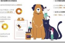 春节宠物寄养“一屋难求”