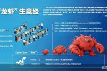 “养虾”生意经