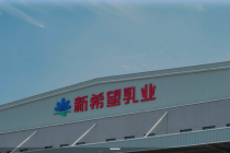 冲击“A+H”，新乳业赴港筹钱