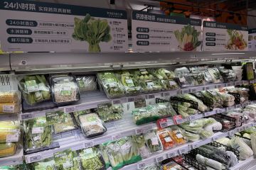 标志随意定做、万元即可通关，假有机也能真认证｜315守护消费