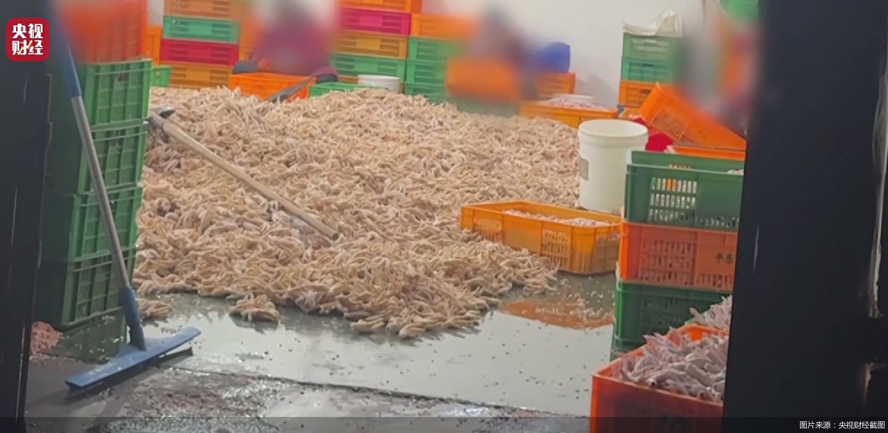 图片来源：央视财经截图