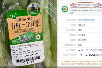 标志随意定做、万元即可通关，假有机也能真认证｜315守护消费