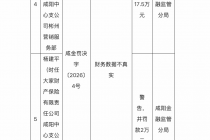 财务数据不真实，大家财险咸阳中支彬州营销服务部合计被罚19.5万元