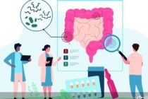 追踪Joybaby：专做中国市场的进口品牌