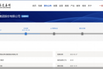 IPO“卡壳”逾两年半，阳光集团冲A胜算几何