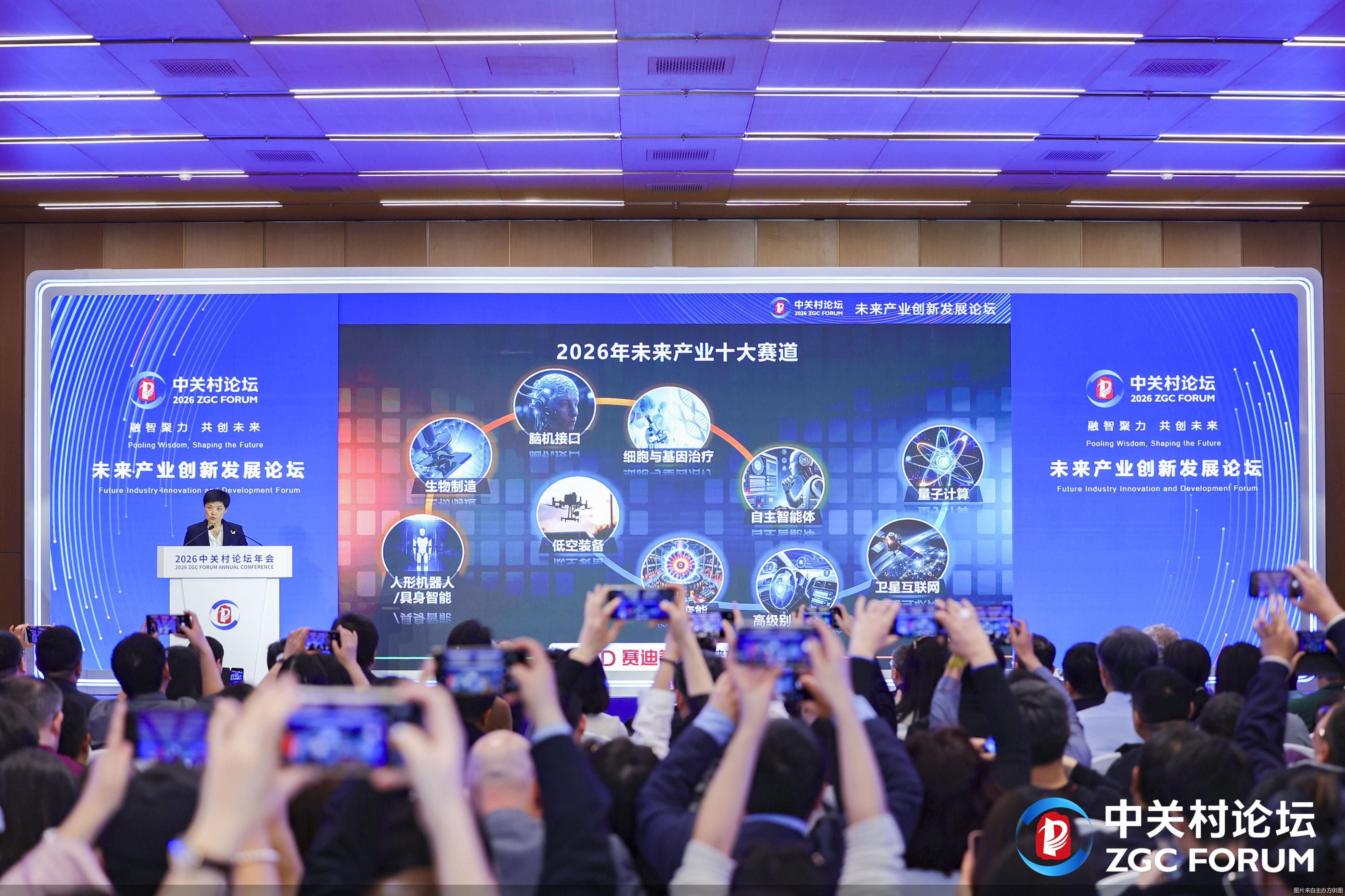 图片来自主办方供图