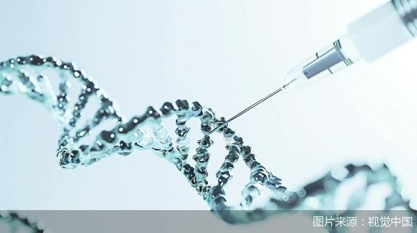 图片来源:视觉中国