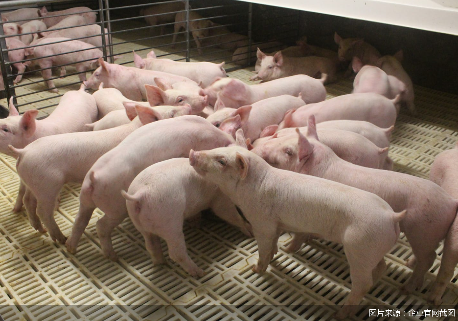 图片来源:企业官网截图