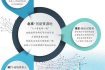 AI竞争力的地方实践图景