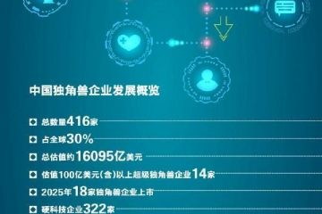 硬科技撑起独角兽一片天