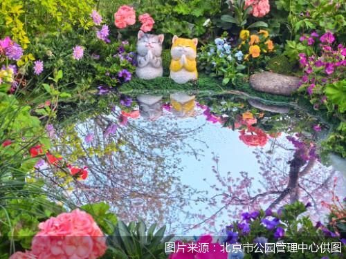 图片来源:北京市公园管理中心供图