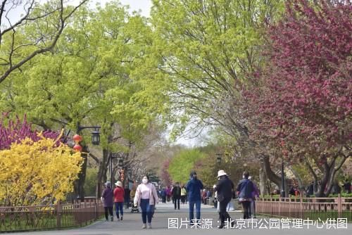图片来源:北京市公园管理中心供图
