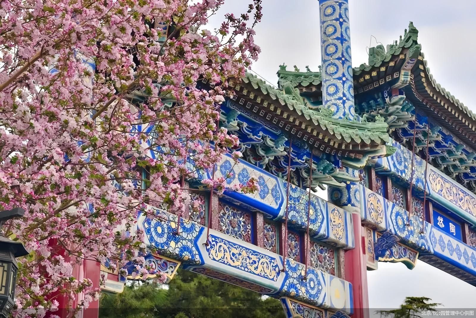 北京市公园管理中心供图