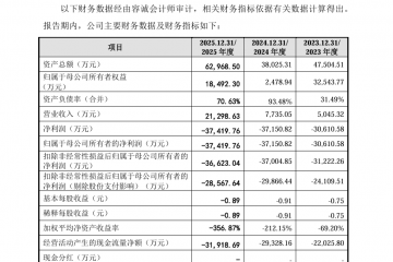 营收大增、“造血”能力仍不足，同心医疗冲刺“国产人工心脏第一股”胜算几何