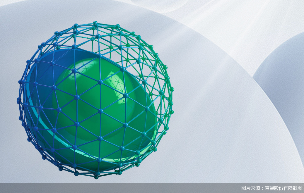 图片来源：百望股份官网截图