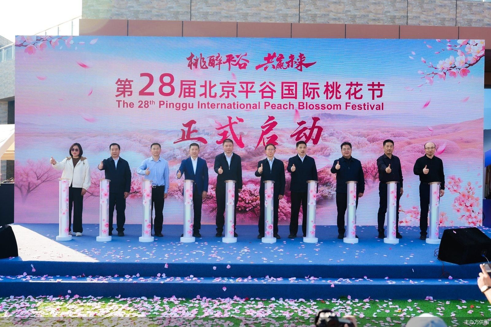 主办方供图