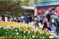 半马、中超、CBA齐上阵，引爆北京文商旅体展融合消费｜北京“超级周末”