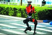 硅基生命“极限夜跑” 机器人半马倒计时