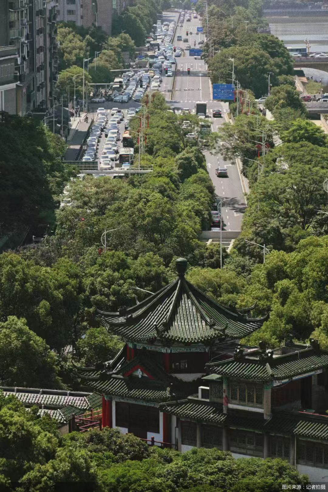 图片来源：记者拍摄