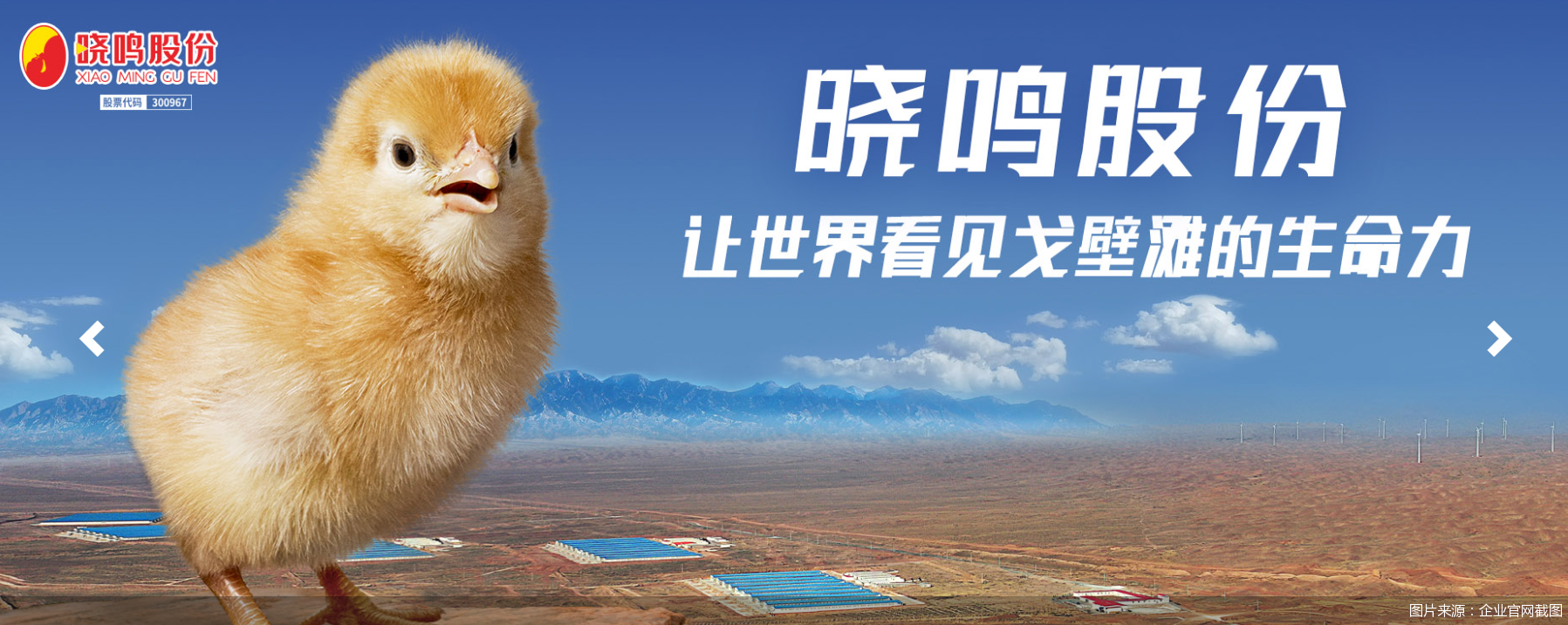 图片来源：企业官网截图