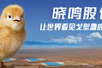 蛋鸡行情急转直下，晓鸣股份一季度由盈转亏