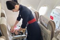 东航“宠物进客舱”升级，推出宠物占座服务