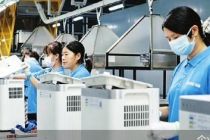 国货进入“全球经营”，跨境金融不只做支付