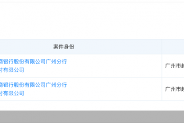 牌照“换新”在即，派安盈支付561万元被执行风险待解