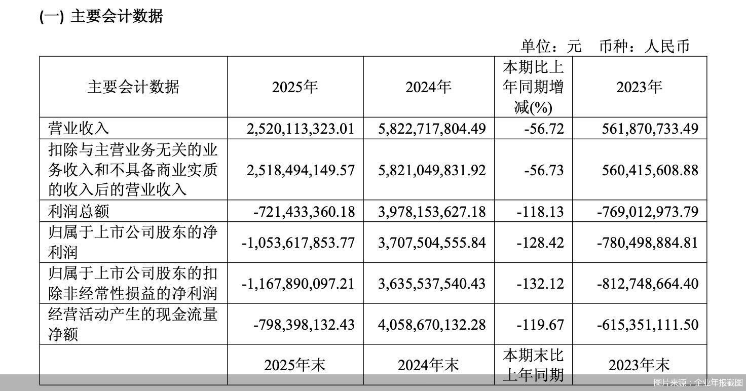 图片来源：企业年报截图