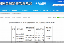 因存在不合理退保阻却情形等，瑞众人寿青岛分公司即墨支公司被罚