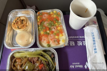 成本项变收入项，航司付费餐食的“生意经”与“两难局”