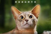 乖宝宠物加速高端化转型