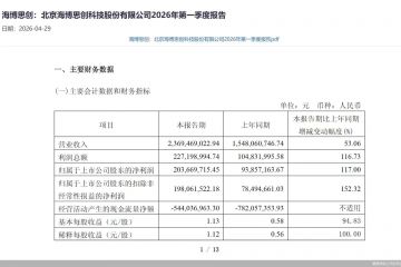 年报及一季报双双报喜！海博思创高增长下含金量几何？