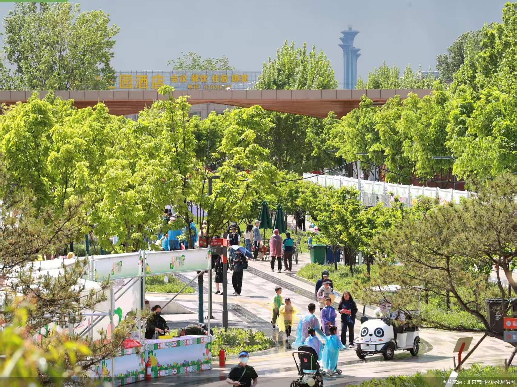 图片来源：北京市园林绿化局供图
