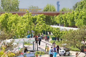 “五一”假期北京全市公园共接待游客1058.39万人次