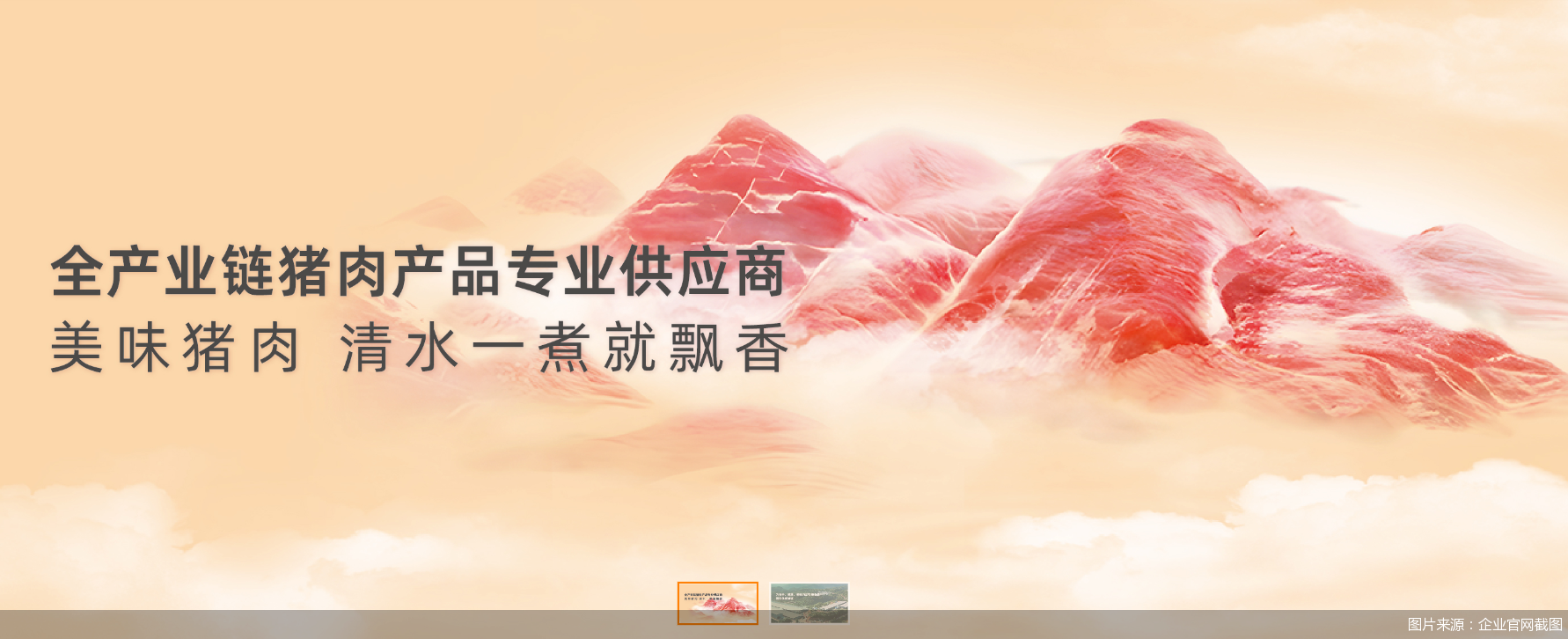 图片来源：企业官网截图