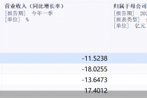 透视光伏四大组件厂商一季报：资产负债率三升一降，仅隆基净利同比增亏