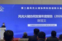 科博会观察｜能源转型的“下半场”：光储融合与AI赋能