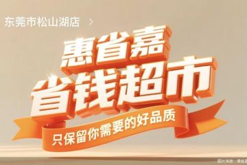 门店扩张减速，万辰集团“惠省嘉”能否讲出新故事