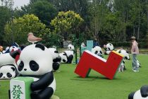 市集搭台IP唱戏 一场市集背后的文商旅体展融合试验