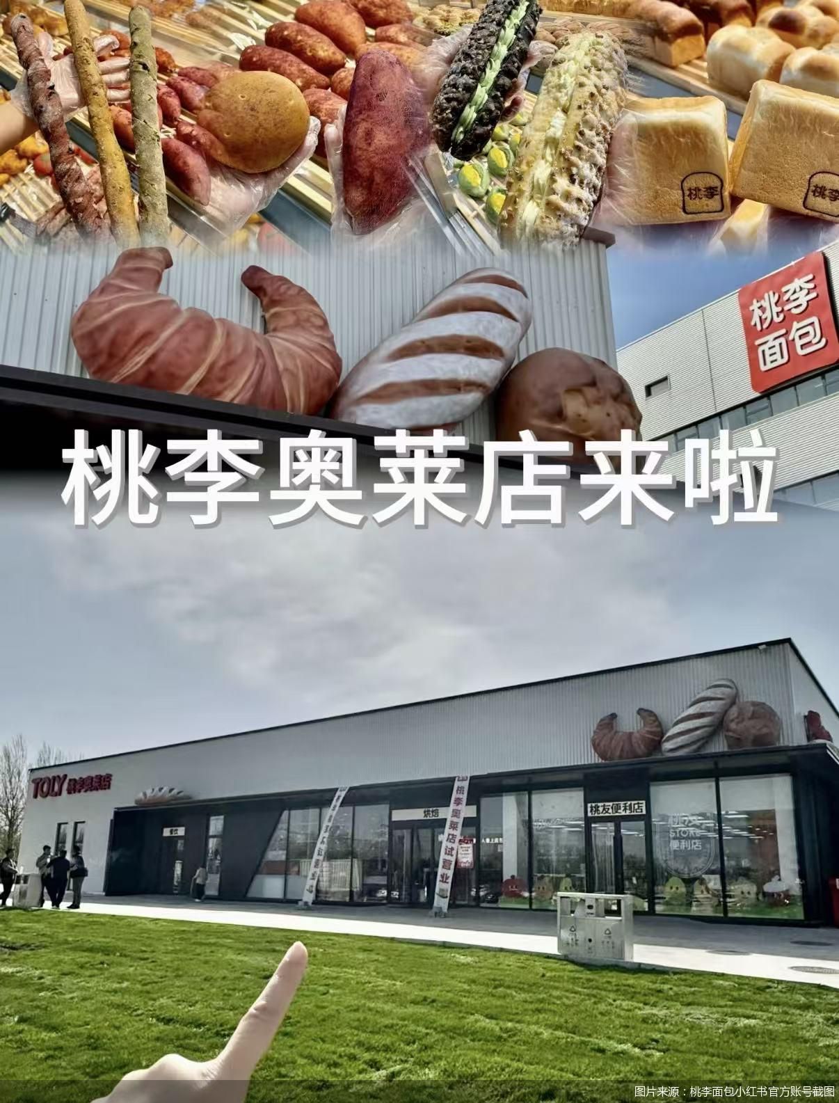 图片来源：桃李面包小红书官方账号截图