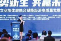 解码融合动能 深蓝智库年度论坛举办