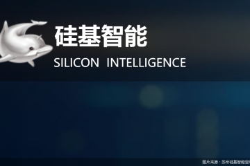 盈利门槛难越，硅基智能赴港闯关