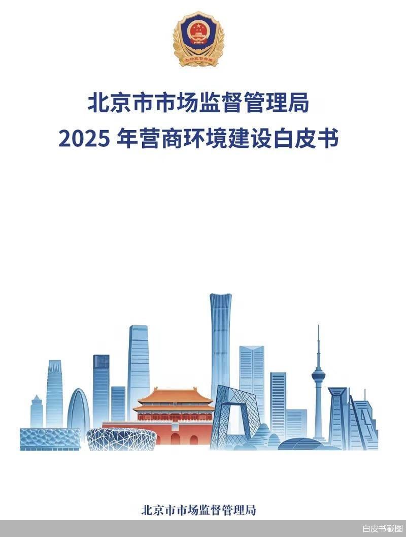 白皮书截图