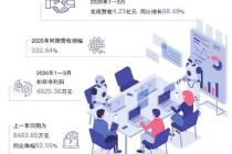 上会前夜 宇树科技的盈利“幻觉”