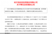哈投股份：聘任沈志彤担任公司总经理